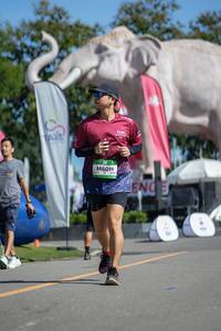 BIB: 
                            <button type="button" onclick="openModal(26545403)" class="btn btn-primary btn-sm float-right btn-popup" data-toggle="modal" data-target=".modal-high-quality">
                        <i class="fas fa-shopping-cart"></i> Add to Cart
                    </button>
                                            <button type="button" onclick="isThisMe(26545403, true)" class="btn btn-success btn-sm float-right btn-popup btn-isme hidden" data-toggle="tooltip" data-placement="bottom" title="นี่คือรูปของคุณใช่ไหม คลิกที่นี่เพื่อเอาเข้าอัลบั้ม">
                        <i class="fas fa-plus"></i> Add to album
                    </button>
                    <button type="button" onclick="isThisMe(26545403, false)" class="btn btn-warning btn-sm float-right btn-popup btn-isnotme hidden">
                        <i class="fas fa-ban"></i> Remove from album
                    </button>